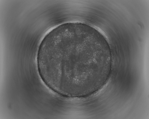 X0000113880943200910221353
