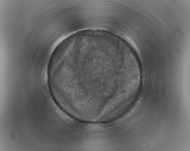 X0000113880944200910221353