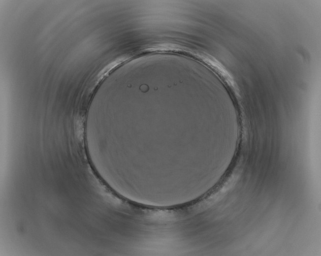 X0000113880945200910221353