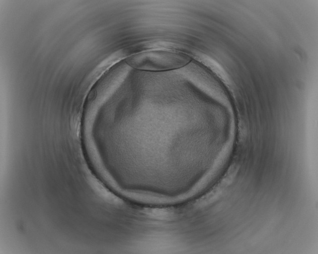 X0000113880946200910221353