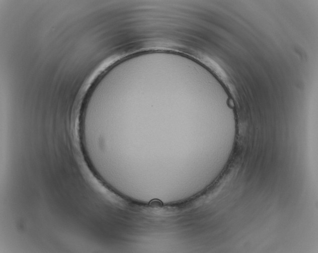 X0000113880947200910221353