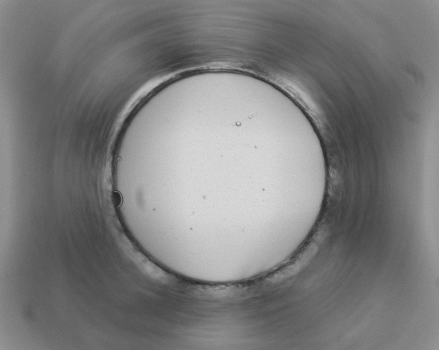 X0000113880948200910221353