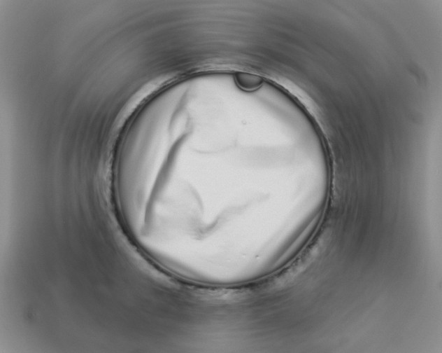 X0000113880949200910221353