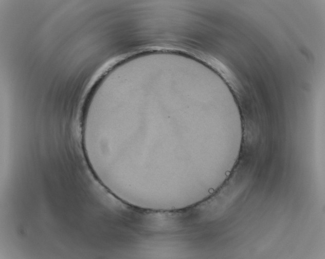 X0000113880950200910221353