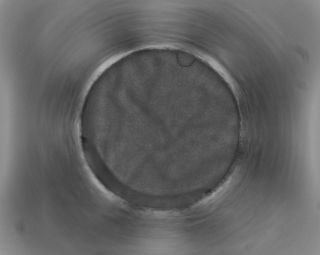 X0000113880951200910221353