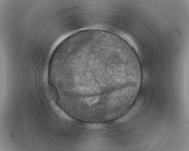 X0000113880952200910221353