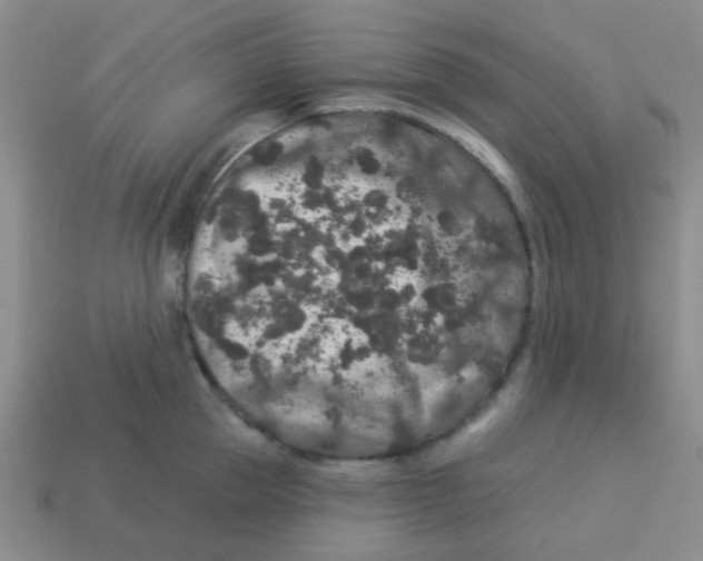 X0000113880953200910221353