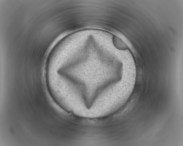 X0000113880955200910221353