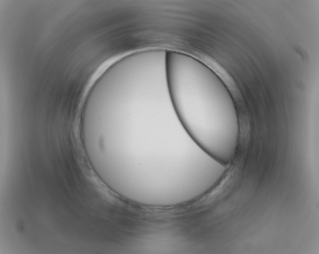 X0000113880956200910221353