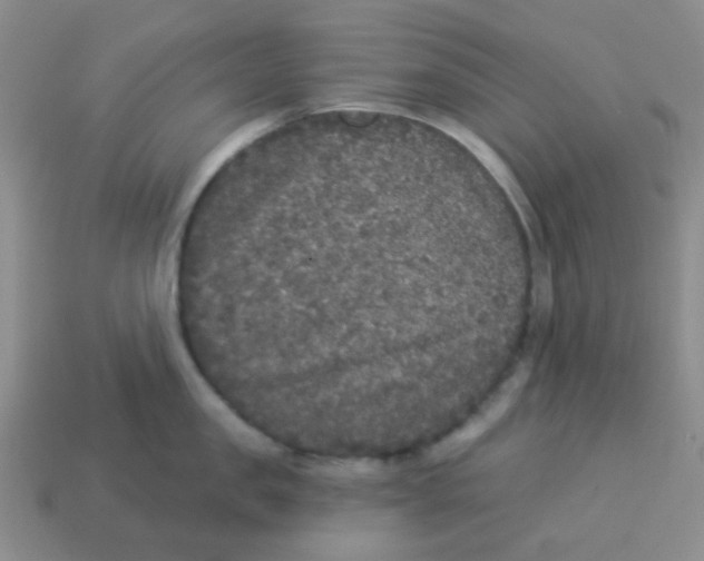 X0000113880957200910221353