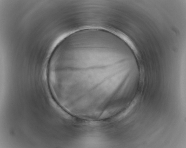 X0000113880958200910221353