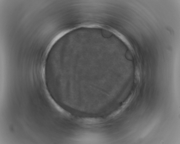 X0000113880959200910221353