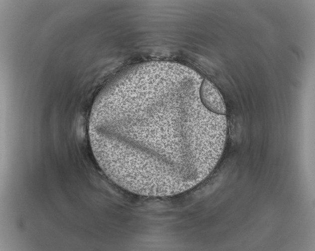 X0000113880962200910221352