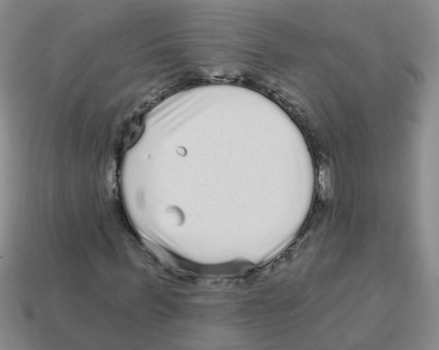 X0000113880963200910221352