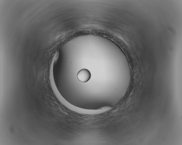 X0000113880965200910221352