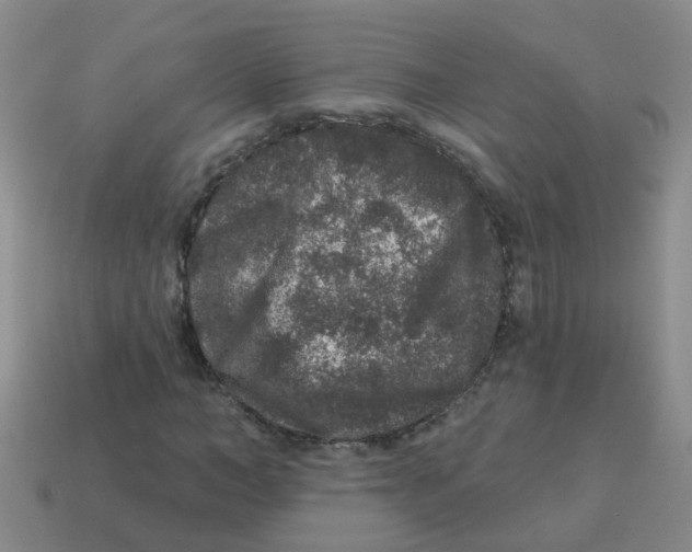 X0000113880966200910221352