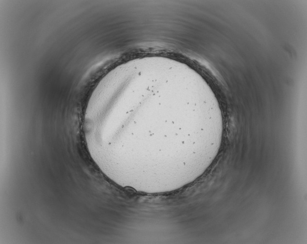 X0000113880967200910221352