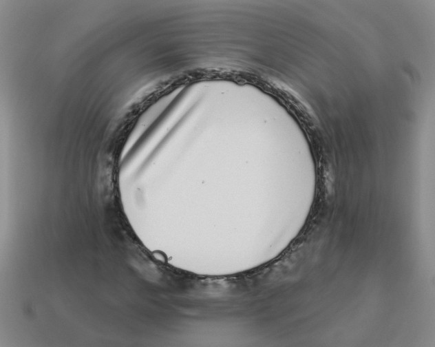 X0000113880968200910221352