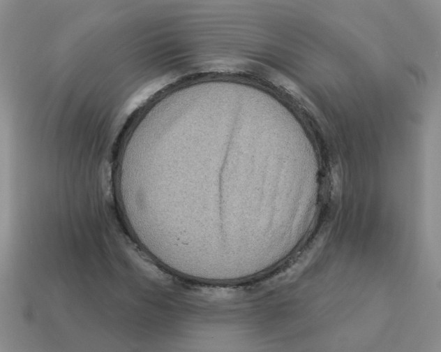 X0000113880970200910221352