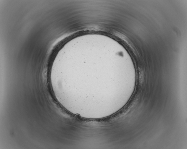 X0000113880971200910221352