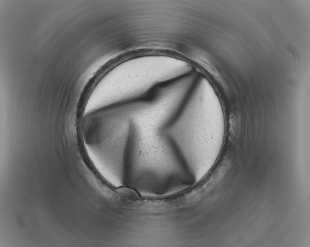 X0000113880972200910221352