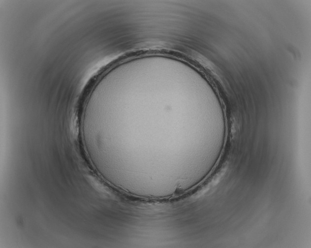 X0000113880973200910221352