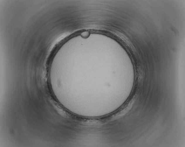 X0000113880974200910221352