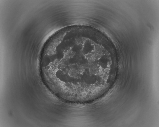 X0000113880975200910221352
