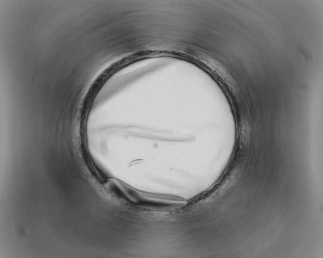 X0000113880976200910221352