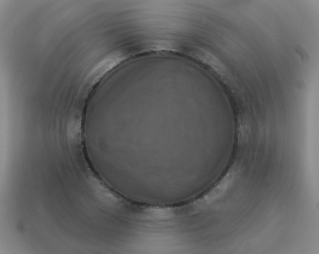 X0000113880977200910221352