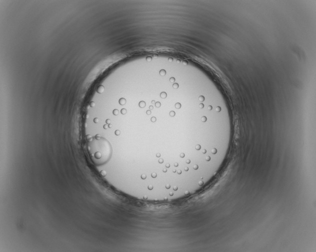X0000113880978200910221352