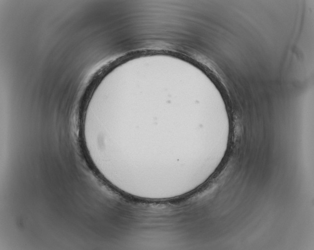 X0000113880979200910221352