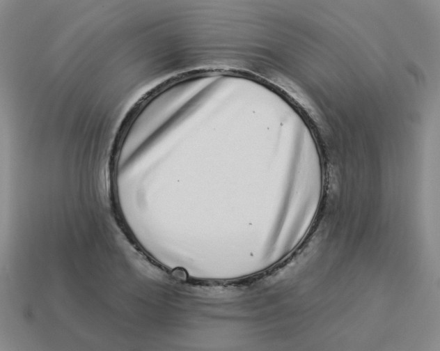 X0000113880980200910221352