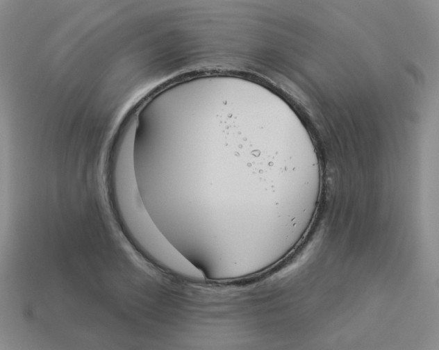 X0000113880981200910221352