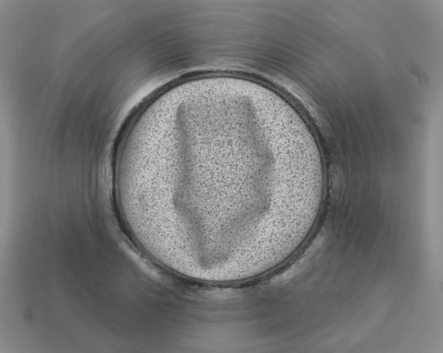 X0000113880982200910221352
