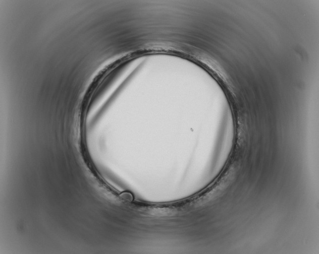X0000113880984200910221352