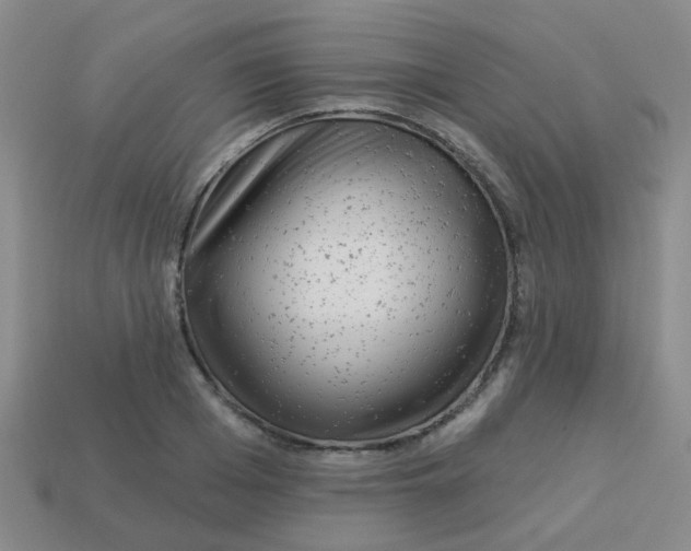 X0000113880985200910221352