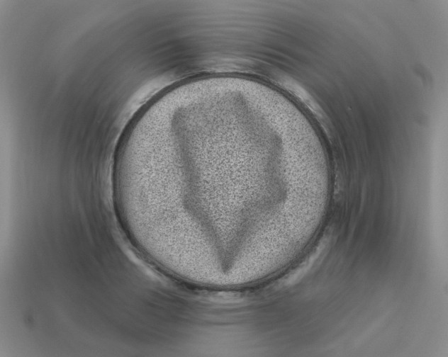 X0000113880986200910221352
