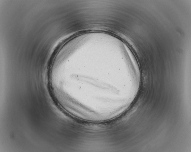 X0000113880987200910221352