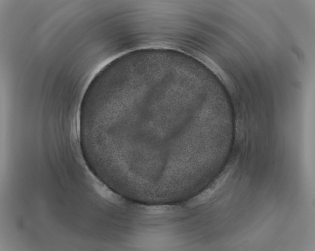 X0000113880988200910221352