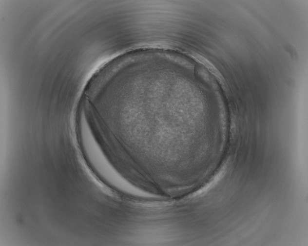 X0000113880989200910221352