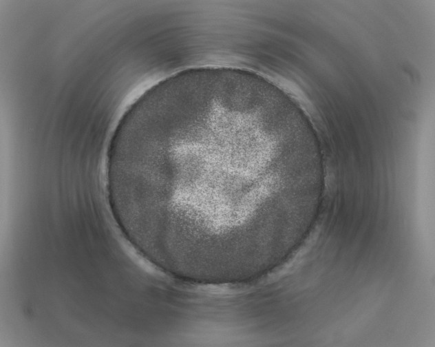 X0000113880990200910221352