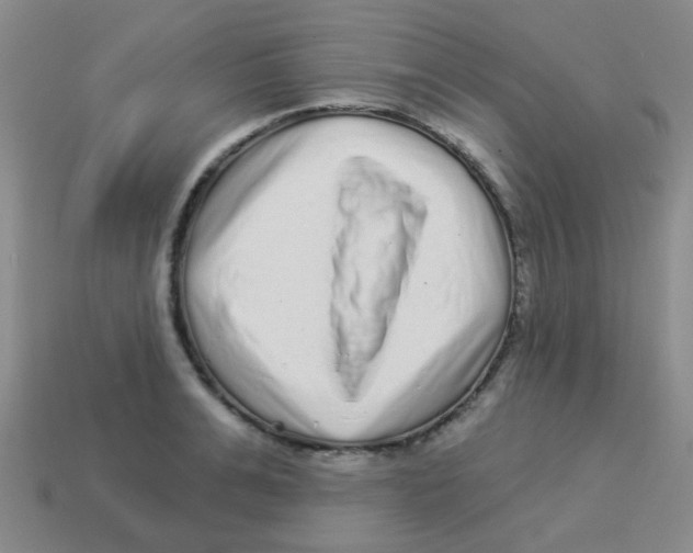 X0000113880991200910221352