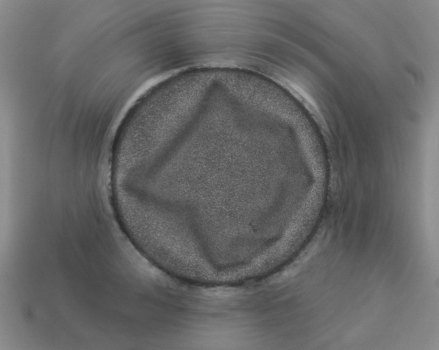 X0000113880992200910221352