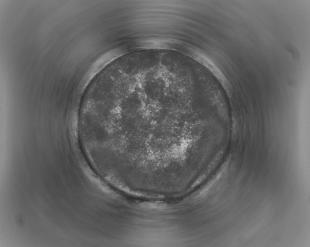 X0000113880994200910221352