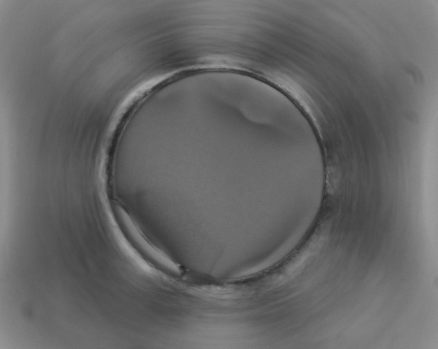 X0000113880995200910221352