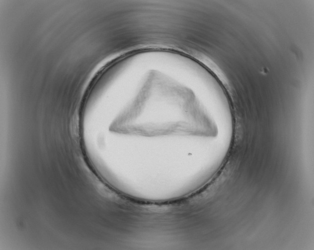 X0000113880996200910221352