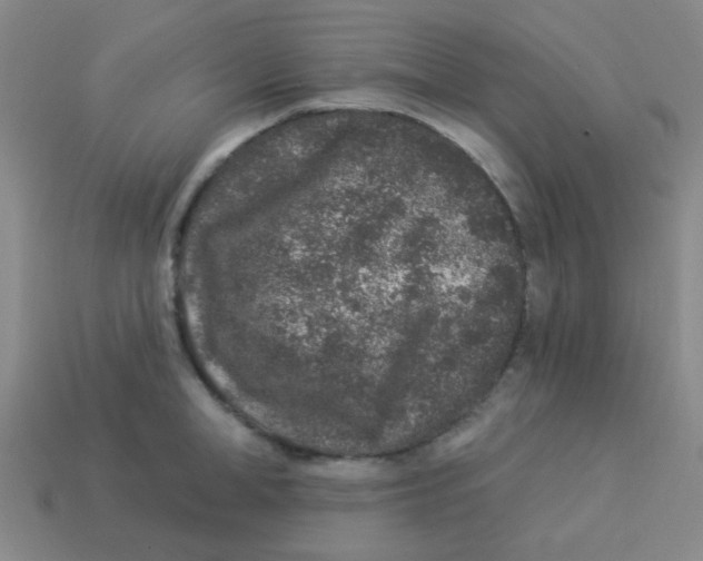 X0000113880998200910221352