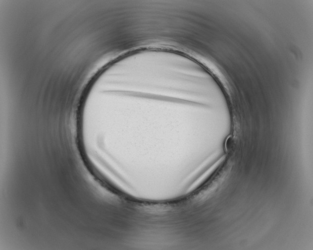 X0000113880999200910221352