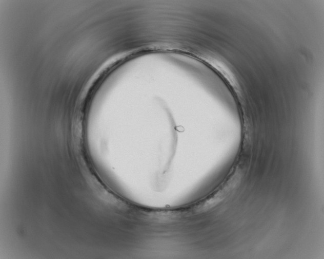 X0000113881000200910221352